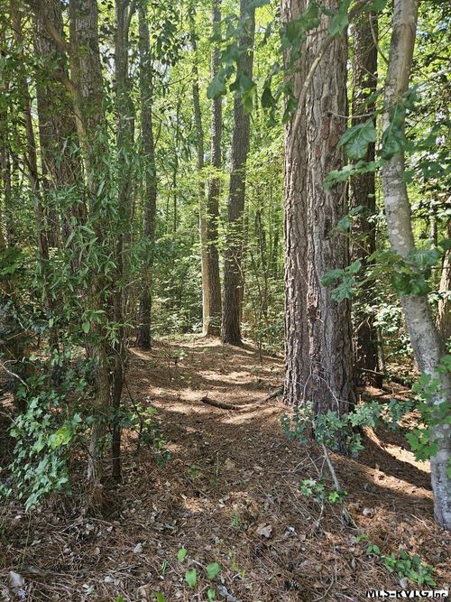 00 Poplar Drive, Macon, NC, 27551 | Card Image