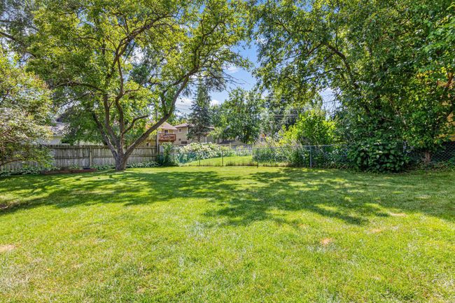 Peaceful, large backyard with beautiful landscaping. | Image 27