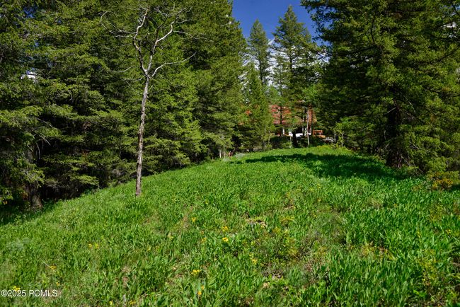 9380 E Kessler View Ln, Home with 0 bedrooms, 0 bathrooms and null parking in Brighton UT | Image 11