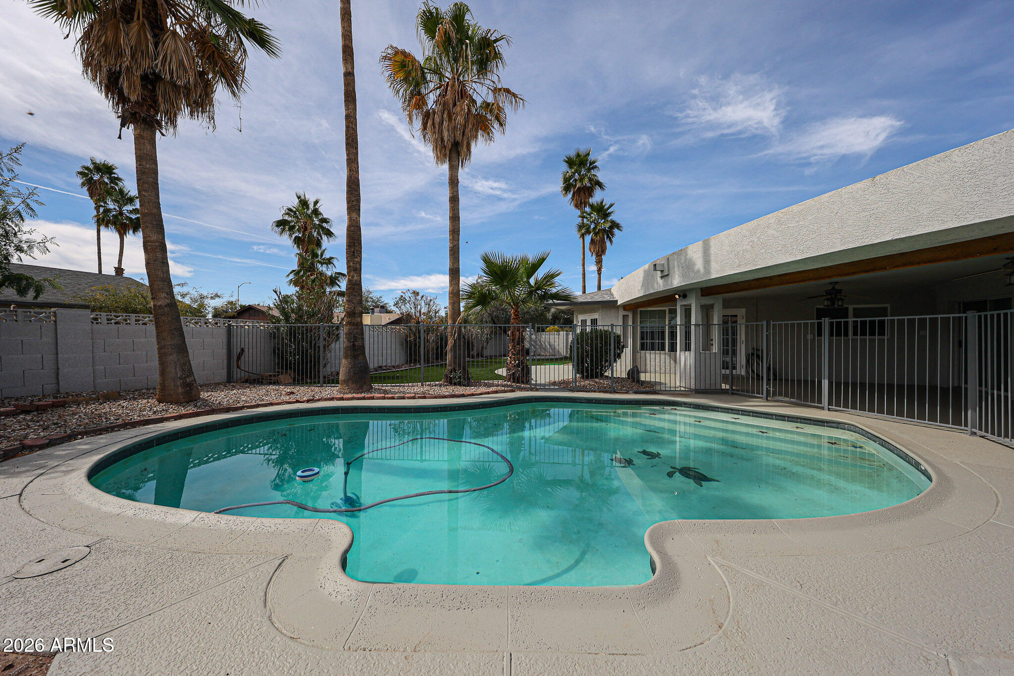 Residential in Mesa 4