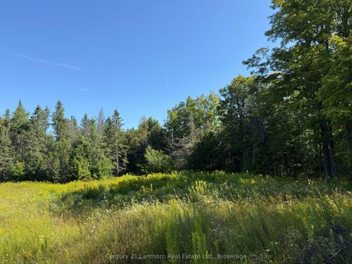 885 Cleveland Rd, Eldorado, ON, K0K1Y0 | Card Image