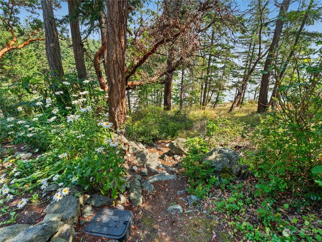 Next to driveway, here's the entrance to trail to Eagle Point via a trail going to the beach at Cook's Cove. | Image 31