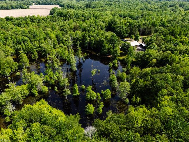 14387 Tucker Swamp Rd, House other with 4 bedrooms, 3 bathrooms and null parking in Zuni VA | Image 46
