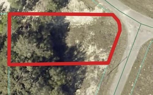 00 Maple Lane Run, OCKLAWAHA, FL, 32179 | Card Image