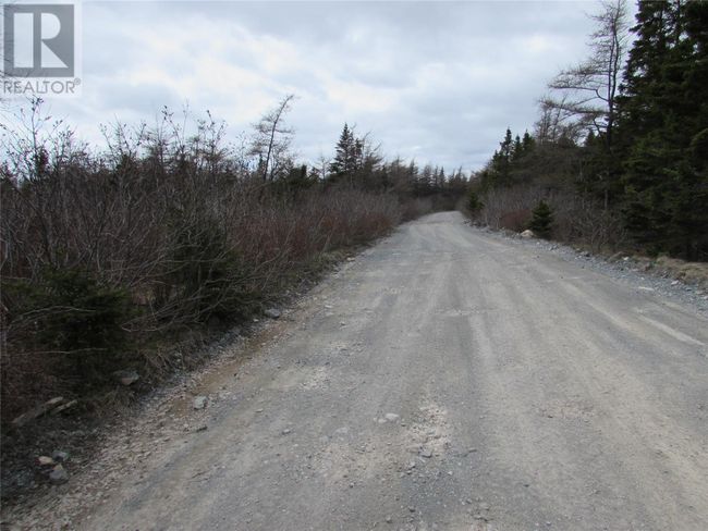 45 New Line Road, Home with 0 bedrooms, 0 bathrooms and null parking in Colliers NL | Image 21