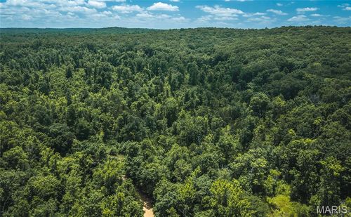 000 Czar Tower Rd, Steelville, MO, 65565 | Card Image