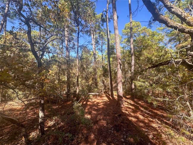 000 Pine Hollow Dr, Home with 0 bedrooms, 0 bathrooms and null parking in Bastrop TX | Image 8