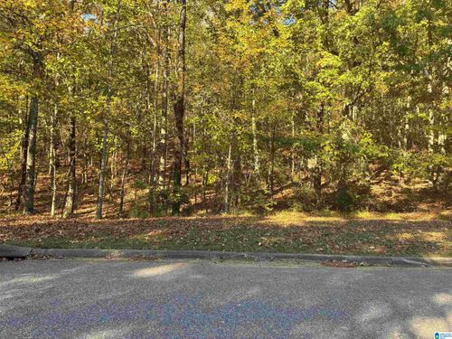 lot-446-125 Highland View Dr, BIRMINGHAM, AL, 35242-6805 | Card Image
