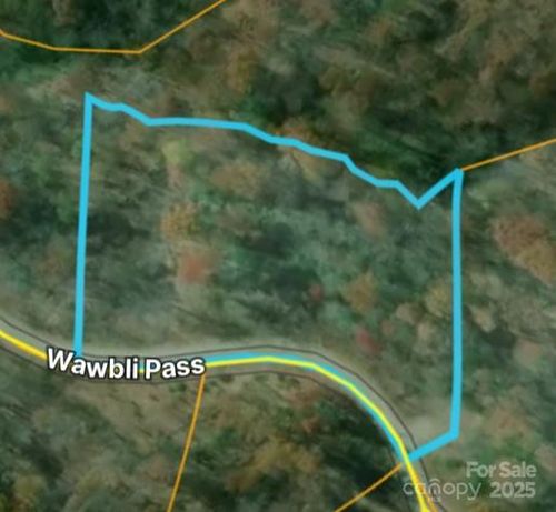 00 Wambli Pass, Lake Lure, NC, 28746 | Card Image