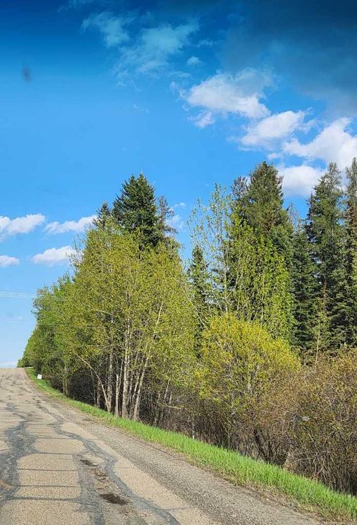 71037 Township Road 393, Alhambra, AB, T0M0C0 | Card Image