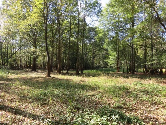 9795 S Us Highway 59, Home with 0 bedrooms, 0 bathrooms and null parking in Nacogdoches TX | Image 20