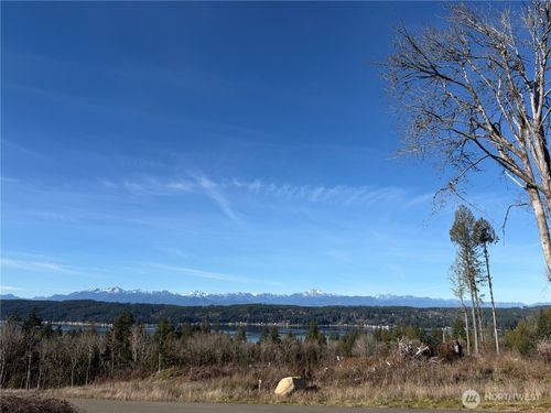3 Track Rimstone Loop, Belfair, WA, 98528 | Card Image