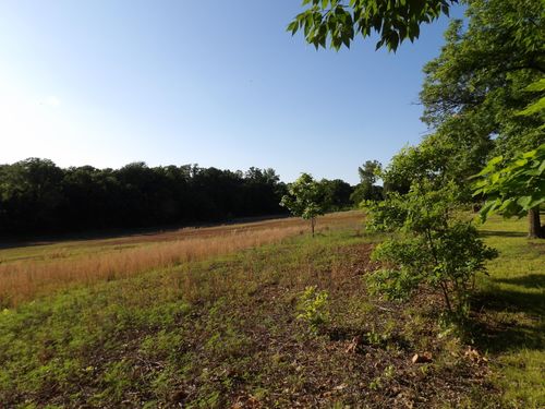 000 W Ivy Rd, Oronogo, MO, 64855 | Card Image