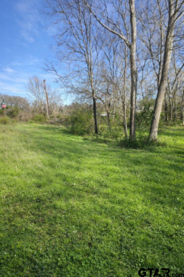 Land in Tyler 3