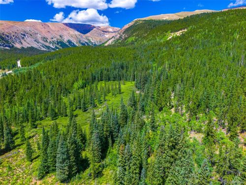 1421 E Buckskin Rd, ALMA, CO, 80420 | Card Image