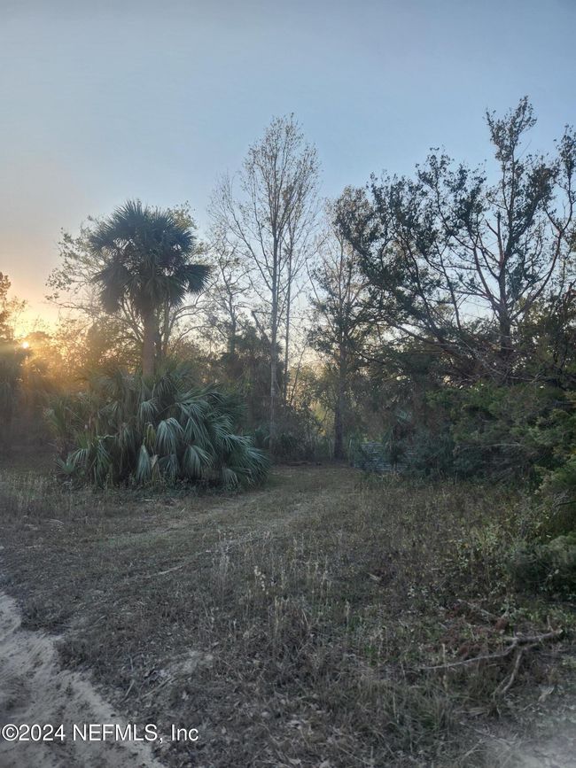 5150 Jody Morgan Rd E, Home with 0 bedrooms, 0 bathrooms and null parking in Perry FL | Image 7
