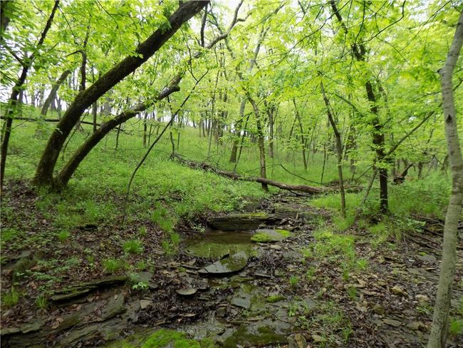 1267 Rock Creek Rd, Home with 0 bedrooms, 0 bathrooms and null parking in Williamsburg KS | Image 13
