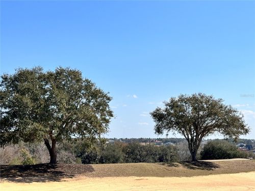 16822 Artimino Loop, BELLA COLLINA, FL, 34756-3632 | Card Image