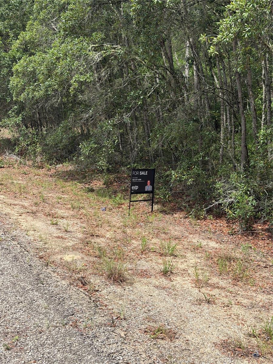 Land in DUNNELLON 3