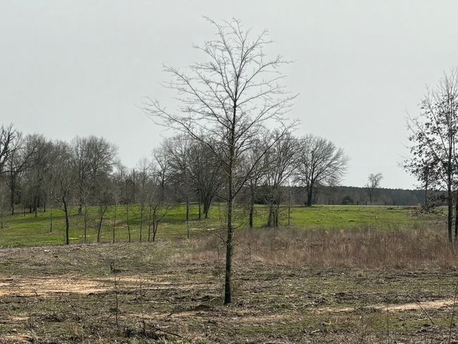 TRACT-2 - TBD County Road 2425, Home with 0 bedrooms, 0 bathrooms and null parking in Como TX | Image 10