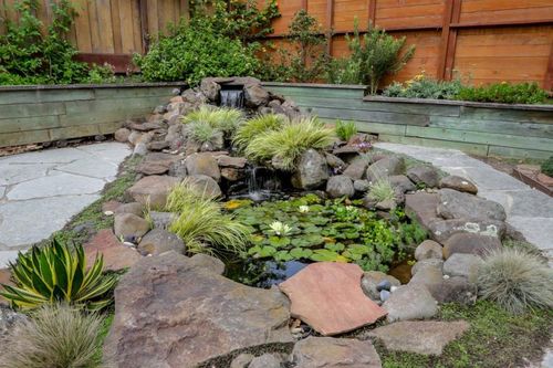 363 Park St, San Francisco, CA, 94110-5910 | Card Image