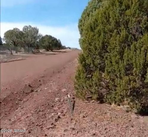 8594 Bobcat Dr, Show Low, AZ, 85901-6882 | Card Image