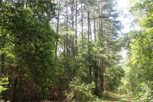0 Rolling Hills Road, Navasota, TX, 77363 | Card Image