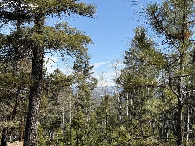 242 Apache Creek Dr, Home with 0 bedrooms, 0 bathrooms and null parking in FLORISSANT CO | Image 9