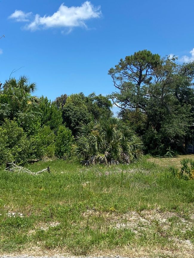 117 Atlantic St, Home with 0 bedrooms, 0 bathrooms and null parking in Port St. Joe FL | Image 22