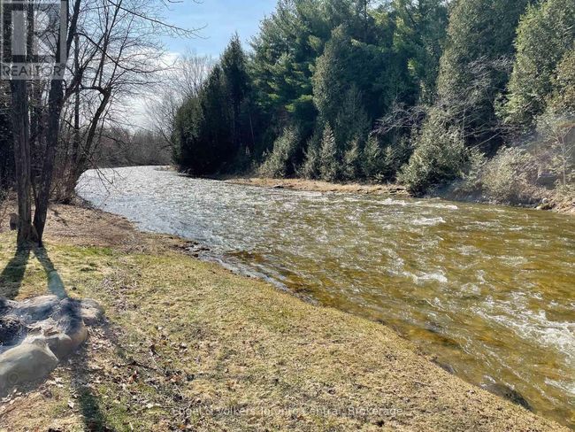 7237 Nottawasaga 6/7 Sideroad, House other with 4 bedrooms, 1 bathrooms and 7 parking in Clearview (Creemore) ON | Image 29
