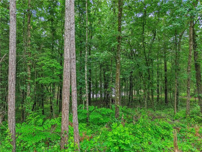 1 - 5 Peachwood Dr, Home with 0 bedrooms, 0 bathrooms and null parking in Tallassee AL | Image 14
