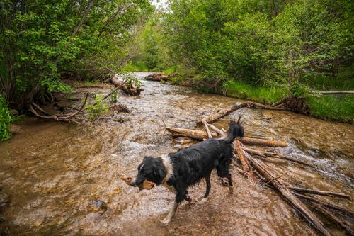 000 Deer Ln, Taos Ski Valley, NM, 87525 | Card Image