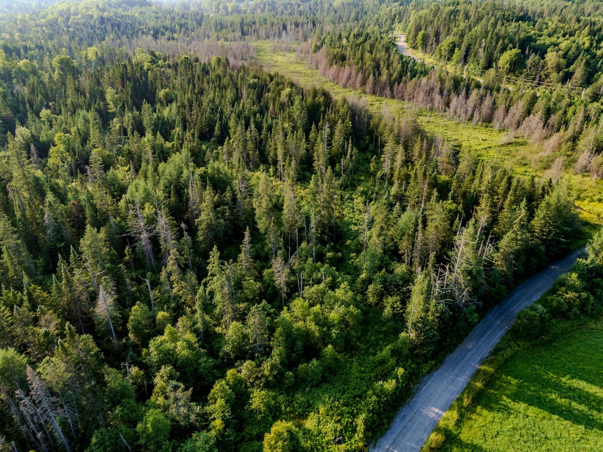 Land in Walden 5