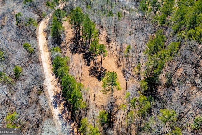 0 County Road 269, Home with 0 bedrooms, 0 bathrooms and null parking in Wedowee AL | Image 22