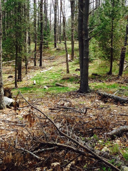 0 Peterson Lane, Brunswick, ME, 04011 | Card Image