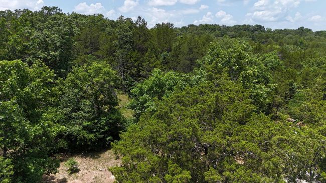 exterior land 7-6-25 | Image 51