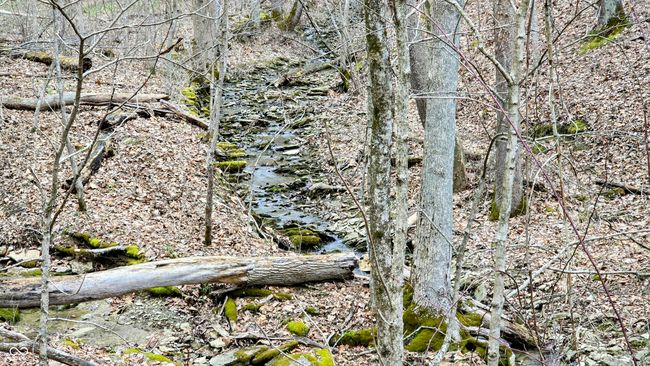 5900 S County Road 700 E, Home with 0 bedrooms, 0 bathrooms and null parking in Dillsboro IN | Image 35