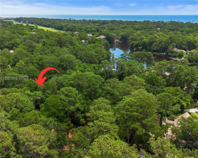 Home location on Mariners Side of Palmetto Dunes on the 11 mile lagoon | Image 71