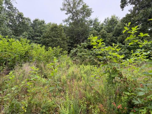 1 Morgan Cave Rd, Harrison, AR, 72601 | Card Image
