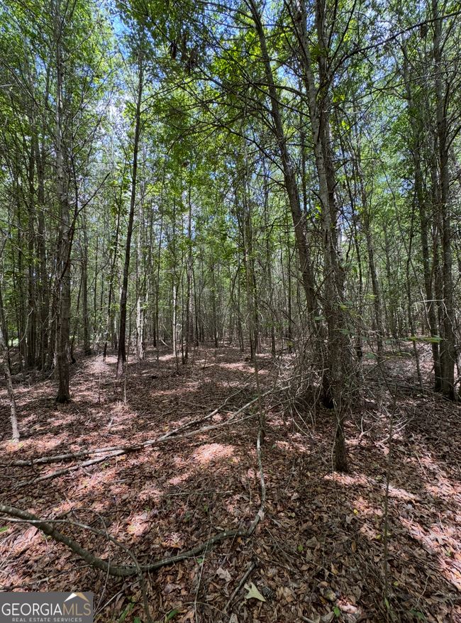 0 Tobias Rd, Home with 0 bedrooms, 0 bathrooms and null parking in Sardis GA | Image 5