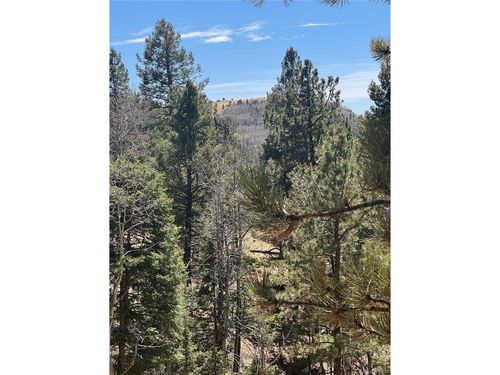 288 Troy Dr, Cripple Creek, CO, 80813-9595 | Card Image