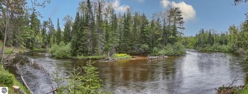 11208 Red Dog Trl, Grayling, MI, 49738-6920 | Card Image