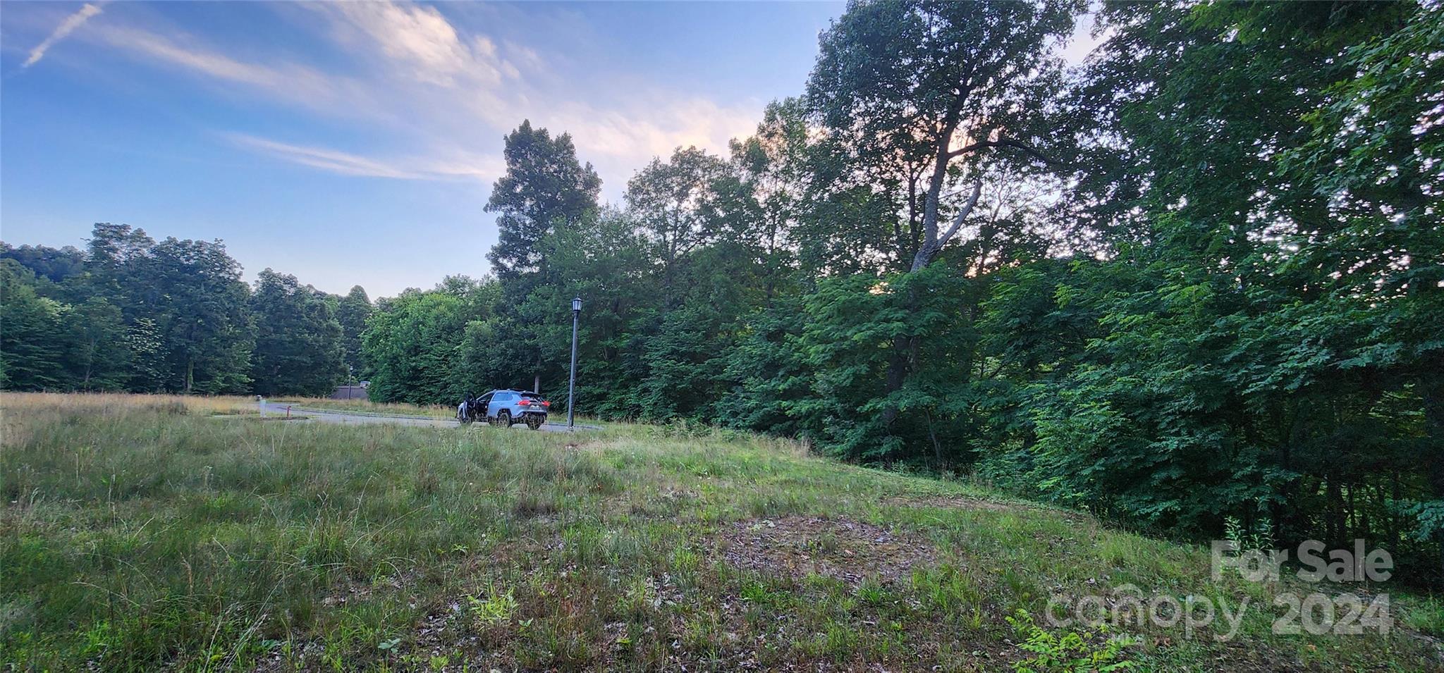 Land in Waynesville 5