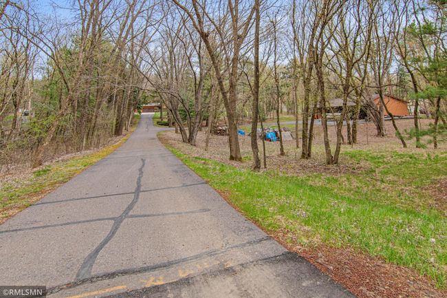 Beautiful Ride up the Driveway | Image 43