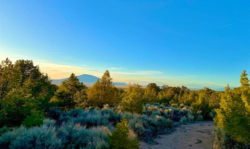 Tract C Jedidiah Rd, El Rito, NM, 87556 | Card Image