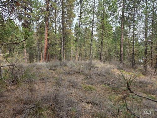 Lot 31 S Meadow Creek Dr, Centerville, ID, 83631-4135 | Card Image
