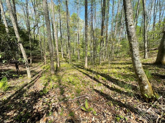 0000 Cawood Ln, Home with 0 bedrooms, 0 bathrooms and null parking in Clyde NC | Image 10