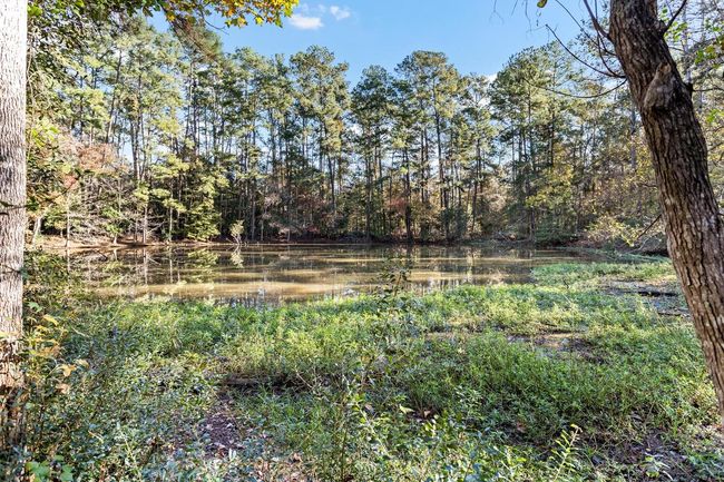 750 W Walton Rd, Home with 0 bedrooms, 0 bathrooms and null parking in Lumberton TX | Image 6