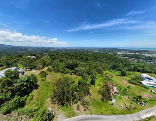 k-Zarzal Arriba Carr. 966 Km 2.3, Rio Grande, PR, 00745 | Card Image