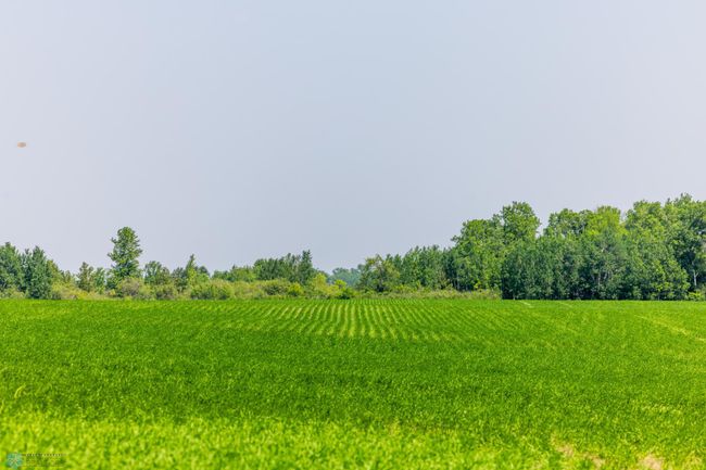 Amdak__Fosston MN - Land_0017.jpg | Image 18